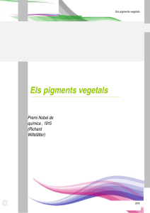 Pigments vegetals