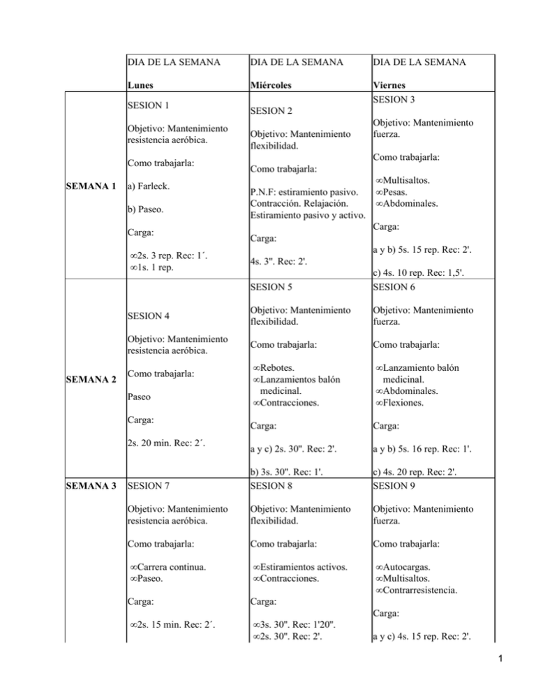 Planning De Entrenamiento Físico