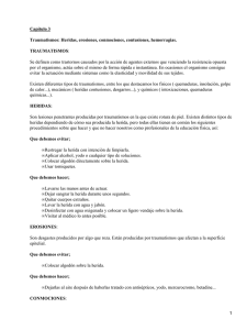 Capítulo 3 Traumatismos: Heridas, erosiones, conmociones, contusiones, hemorragias. TRAUMATISMOS