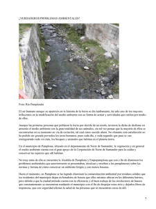 ¿VERDADEROS PROBLEMAS AMBIENTALES? Foto: Río Pamplonita