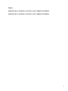 ÍNDICE ESQUEMA DE LA MARCHA ANALÍTICA CON CARBONATO SÓDICO