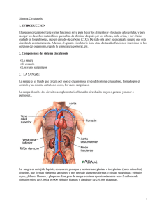 Sistema Circulatorio 1. INTRODUCCION