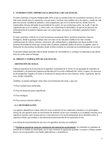 I.− INTRODUCCIÓN: IMPORTANCIA BIOLÓGICA DE LOS SUELOS.