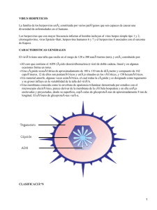 Virus Herpéticos