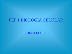 PEP 1 BIOLOGIA CELULAR BIOMOLÉCULAS