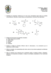 1º Químicas  Grupo A Examen Parcial 29 abril 2005