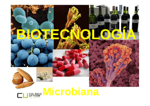 Biotecnología y microbiología industrial