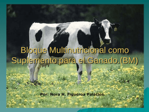 Bloque Multinutricional como Suplemento para el ganado