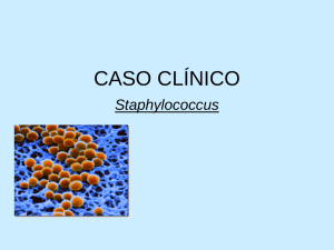 CASO CLÍNICO Staphylococcus