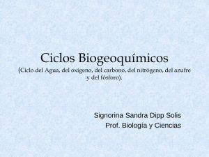 Ciclos Biogeoquímicos ( Signorina Sandra Dipp Solis Prof. Biología y Ciencias