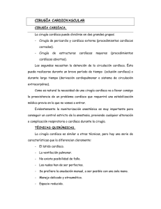 Cirug&iacute;a cardiovascular