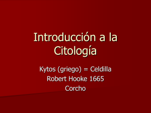 Introducción a la Citología Kytos (griego) = Celdilla Robert Hooke 1665