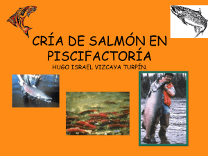 Cría de salmón en Piscifatoría