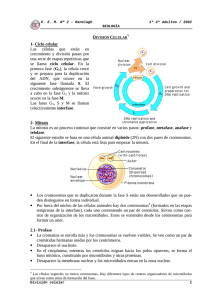 D C  1- Ciclo celular