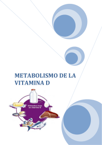 El Metabolismo de la Vitamina D