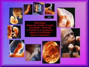 Embriología: ciencia que estudia el origen, crecimiento, desarrollo y función de un organismo,