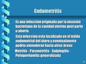 Endometritis y su fisiopatología