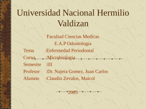 Universidad Nacional Hermilio Valdizan