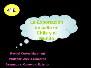 Exportación del aguacate en Chile y el mundo