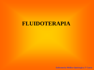 Fluidoterapia