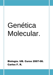 Genética Molecular.  Biología. UB. Curso 2007-08.