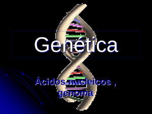 Genética Ácidos nucleicos , genoma