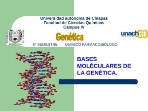 BASES MOLÉCULARES DE LA GENÉTICA. Universidad autónoma de Chiapas