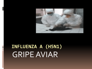 Gripe Aviar