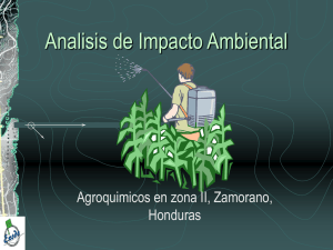 Analisis de Impacto Ambiental Agroquimicos en zona II, Zamorano, Honduras
