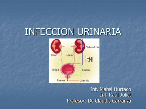 INFECCION URINARIA Int. Mabel Hurtado Int. Raúl Juliet Profesor: Dr. Claudio Carranza