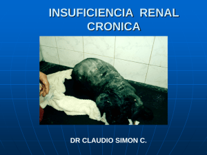 INSUFICIENCIA  RENAL CRONICA DR CLAUDIO SIMON C.