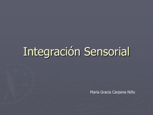 Integración sensorial