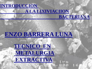 Lixiviación bacteriana y extracción de minerales sulfurados