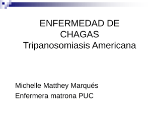 ENFERMEDAD DE CHAGAS Tripanosomiasis Americana Michelle Matthey Marqués