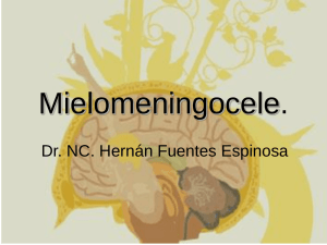 Mielomeningocele. Dr. NC. Hernán Fuentes Espinosa