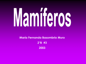 María Fernanda Basombrio Muro 2°B  #3 2003