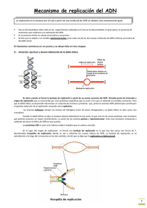 Mecanismo de replicación del ADN