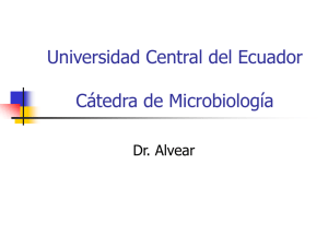 Universidad Central del Ecuador Cátedra de Microbiología Dr. Alvear