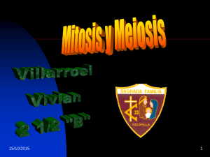 Mitosis y Meiosis de la célula