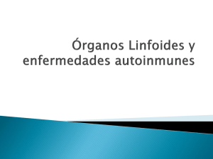 Órganos Linfoides y enfermedades autoinmunes