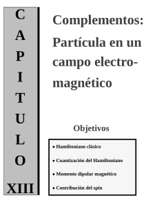 Partícula en un campo electromagnético