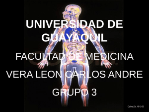UNIVERSIDAD DE GUAYAQUIL FACULTAD DE MEDICINA VERA LEON CARLOS ANDRE