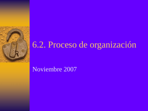 Proceso de organización