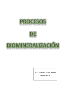 Procesos de biomineralización