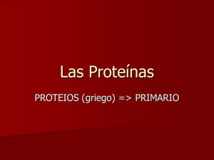 Las Proteínas PROTEIOS (griego) =&gt; PRIMARIO