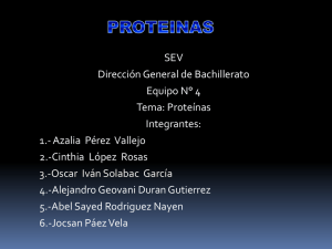 SEV Dirección General de Bachillerato Equipo N° 4 Tema: Proteínas