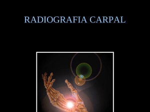 Radiografía Carpal