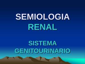 Semiología Renal
