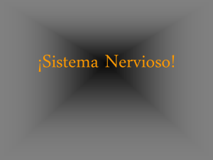 ¡Sistema Nervioso!