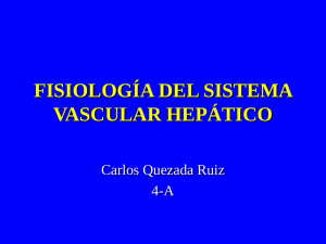 Sistema vascular hepático